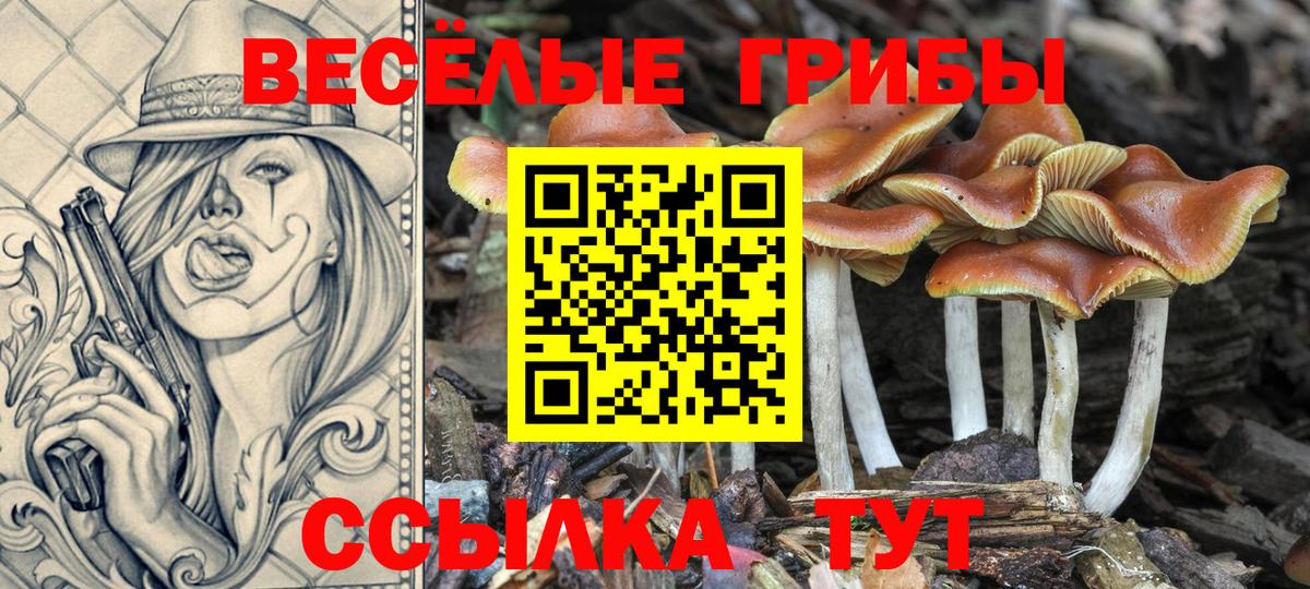 Уварово  Псилоцибиновые грибы мухоморы  Вход с VPN 